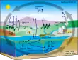 Diagram of the carbon cycle