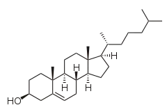 Chemical structure of cholesterol