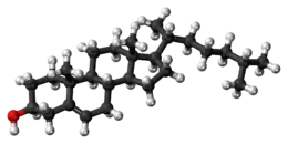 Ball-and-stick model of cholesterol