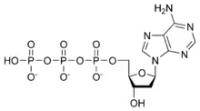 Chemical structure of deoxyadenosine triphosphate