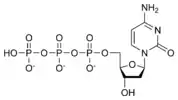 Chemical structure of deoxycytidine triphosphate