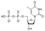 Chemical structure of deoxythymidine diphosphate