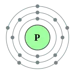 磷的电子層（2, 8, 5）