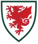 Shirt badge/Association crest