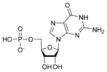 Chemical structure of guanosine monophosphate