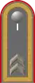 Jacke Dienstanzug Heeresuniformträger Heeresflugabwehrtruppe