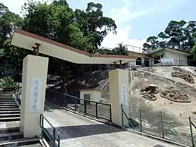 坪洲健康院