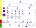 More complete lineages (very large)