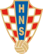 Shirt badge/Association crest