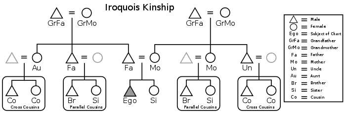 Graphic of the Iroquois kinship system