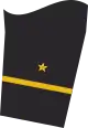 Ärmelabzeichen Dienstanzug Marineuniformträger (Truppendienst oder militärfachlicher Dienst)