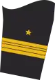 Ärmelabzeichen Dienstanzug Marineuniformträger (Truppendienst)