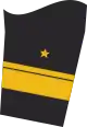 Ärmelabzeichen Dienstanzug Marineuniformträger (Truppendienst)