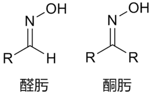 醛肟和酮肟