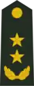 陆军中将