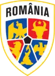 Shirt badge/Association crest