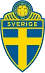 Shirt badge/Association crest