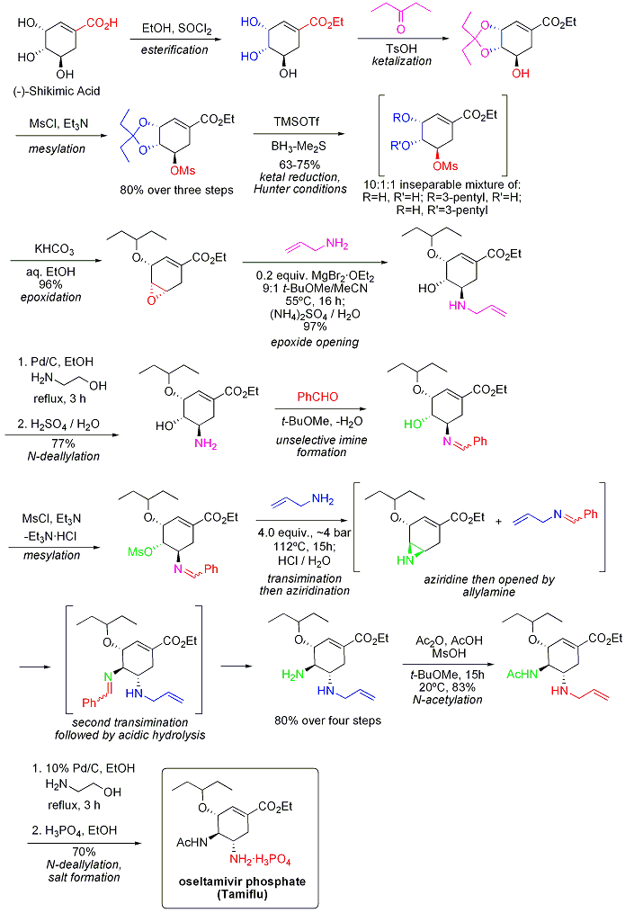 synthesis of tamiflu