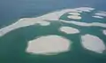 世界群島，2007年5月1日