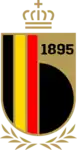 Shirt badge/Association crest