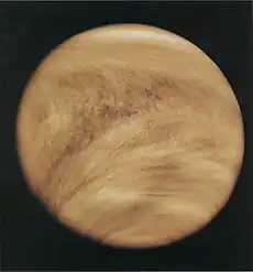 Cloud structure in the Venusian atmosphere in 1979, revealed by observations in the ultraviolet band by Pioneer Venus Orbiter