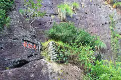 武夷岩茶名品大红袍原生地