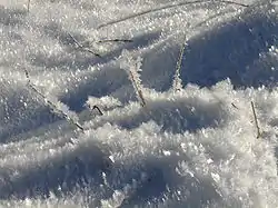 [1] Frost auf einem Stück Wiese