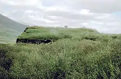 [1] Gras und grasgedecktes Haus in Island